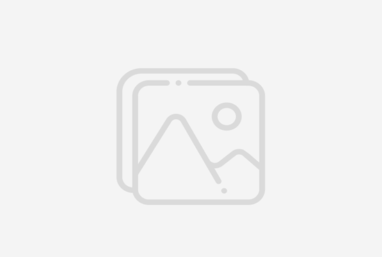 Best Outdoor Adventures in Santa Cruz for Nature and Thrill Lovers